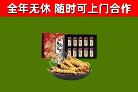 洪雅县烟酒回收冬虫夏草礼盒.jpg
