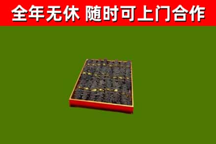 洪雅县回收海参